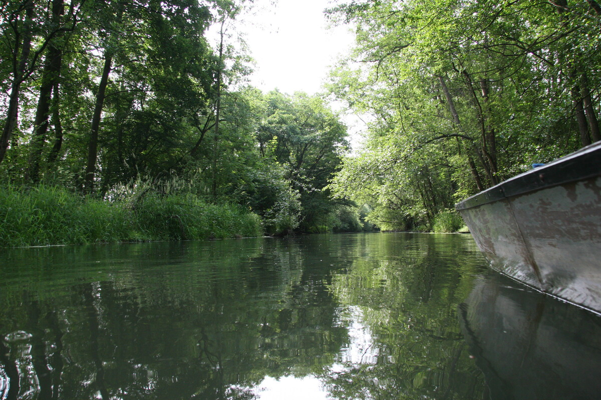 Taubergießen Naturzentrum Rheinauen